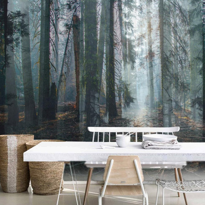 Mural Wallpaper Nature Forest Scenery